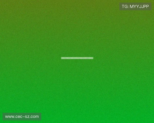 拜耳勒沃库森崛起之路从无冕之王到德甲豪门荣耀新篇章