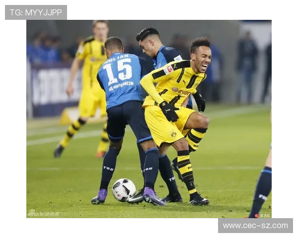 霍芬海姆1899俱乐部新赛季规划与青年培养战略全面推进升级布局